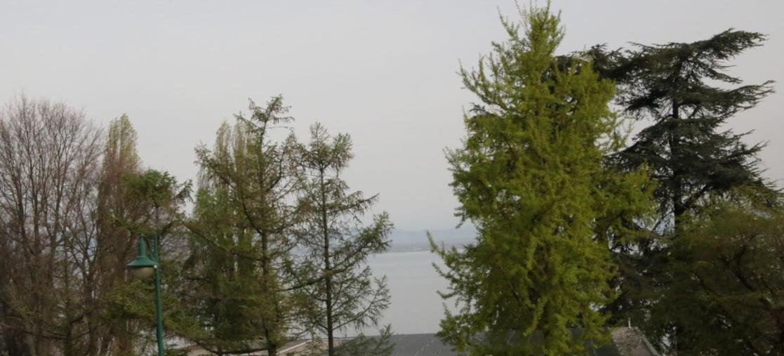 Magnifique T3 Face Au Lac Évian-les-Bains Esterno foto